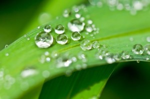 wasser